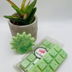 Aloe & Cucumber snap bar