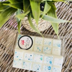 Fairy laundry snap bar