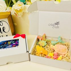 Under the sea collection box 🐢🦀🐠