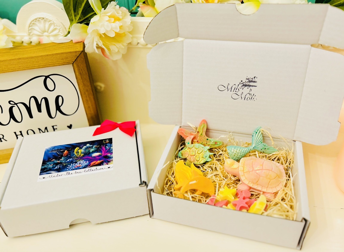 Under the sea collection box 🐢🦀🐠