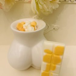 Butt lift snap bar (sol de jeneiro inspired)