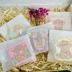NEW highland cow gift box 🐮