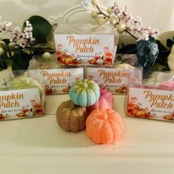 Small pumpkin patch