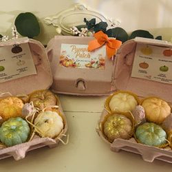 Pumpkin
Patch gift box 🎃