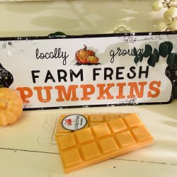 Pumpkin pie snap bar 🎃