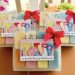 Spanish Cleaning Collection