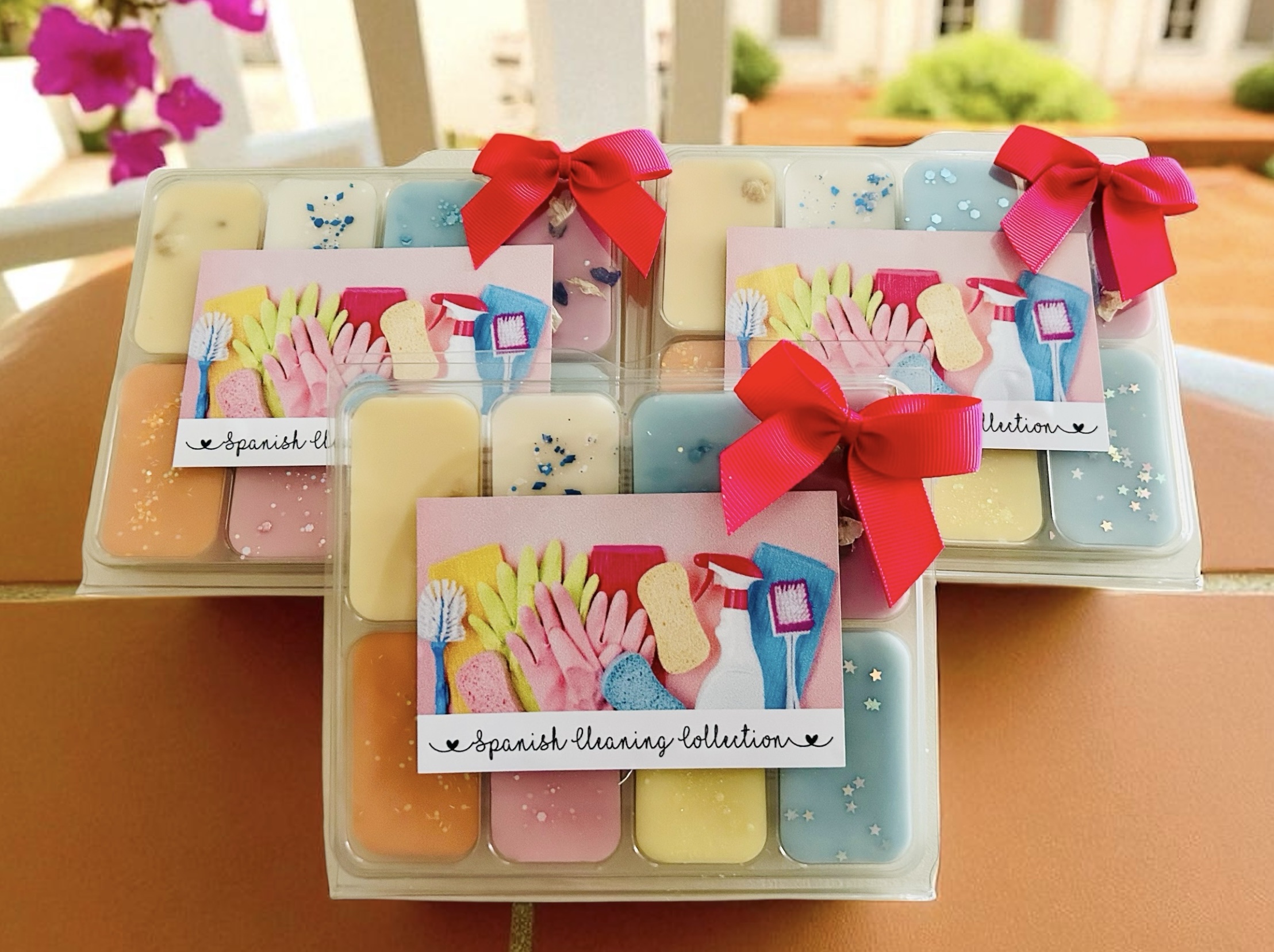 Spanish Cleaning Collection