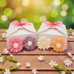 Daisy Gift Box