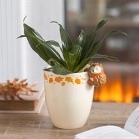Hedgehog plant pot